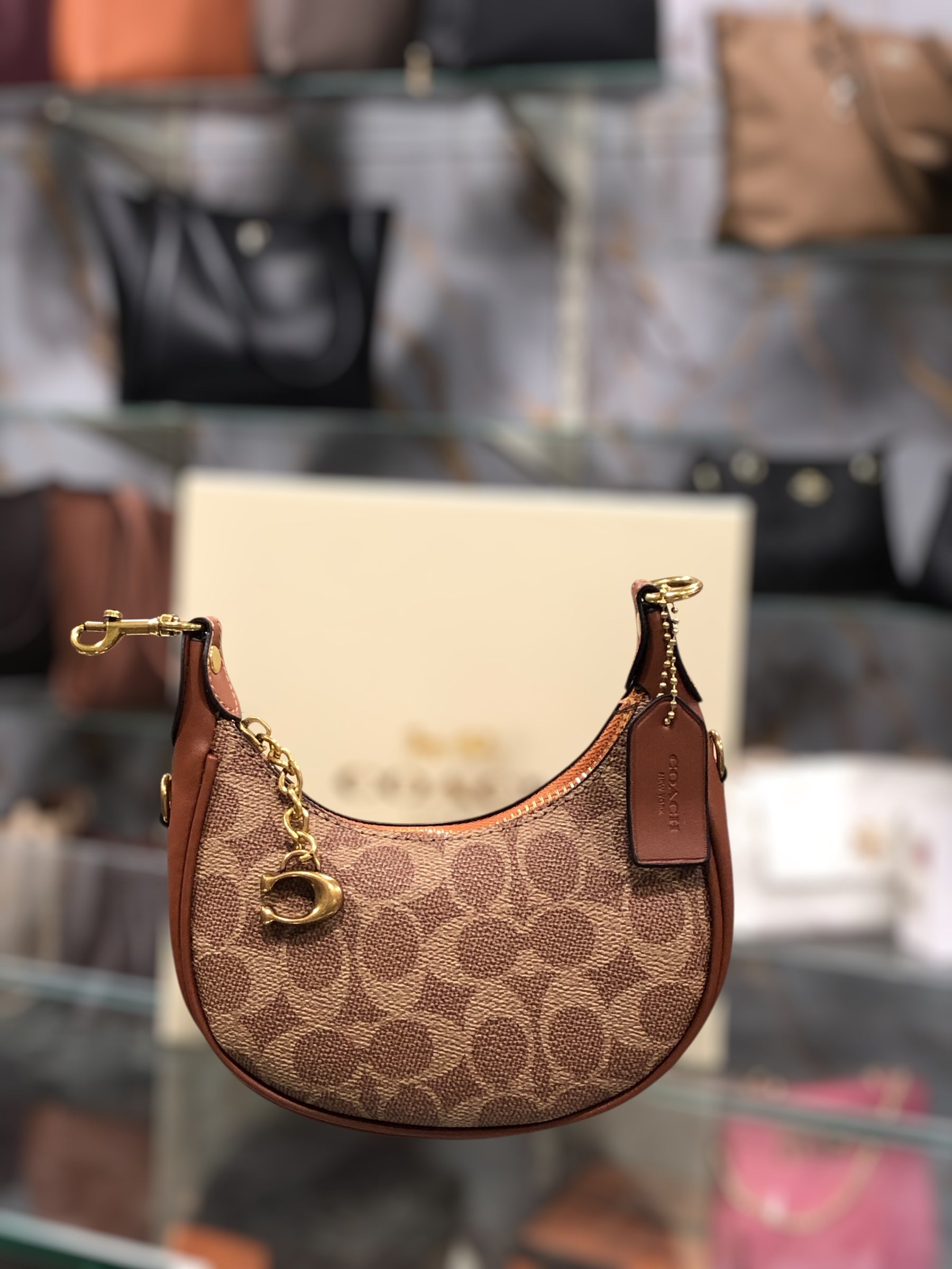 COACH MINI (BROWN)